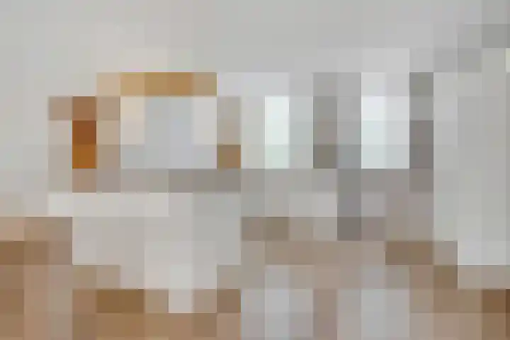 Eemlustlaan 39 Eemnes thumbnail 12