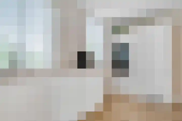 Eemlustlaan 39 Eemnes thumbnail 15