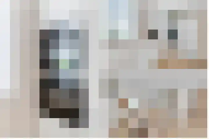 Eemlustlaan 39 Eemnes thumbnail 20
