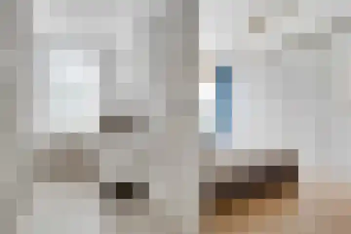 Eemlustlaan 39 Eemnes thumbnail 22