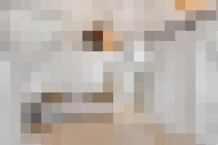 Eemlustlaan 39 Eemnes thumbnail 37