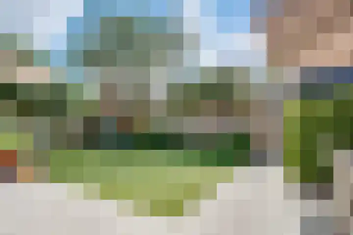 Eemlustlaan 39 Eemnes thumbnail 45