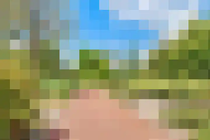 Eemlustlaan 39 Eemnes thumbnail 51