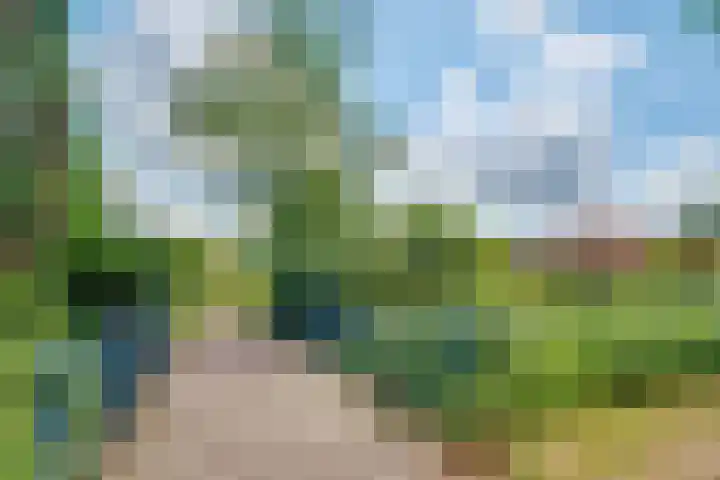 Eemlustlaan 39 Eemnes thumbnail 53