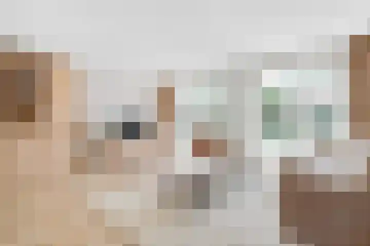 Eemlustlaan 39 Eemnes thumbnail 8