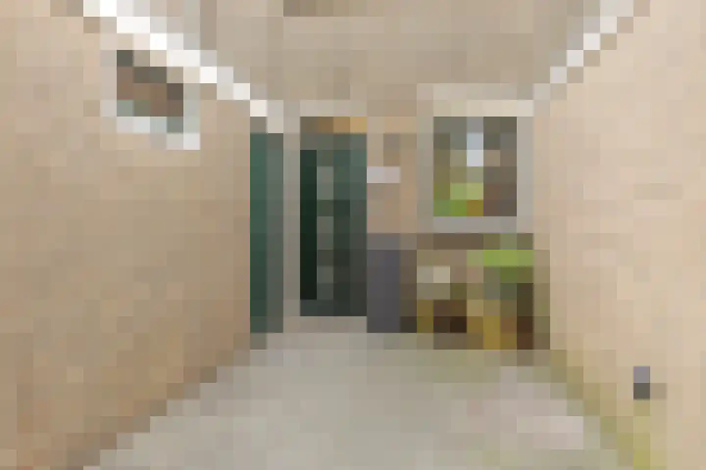 Eemmeer 18 Zaandam thumbnail 6