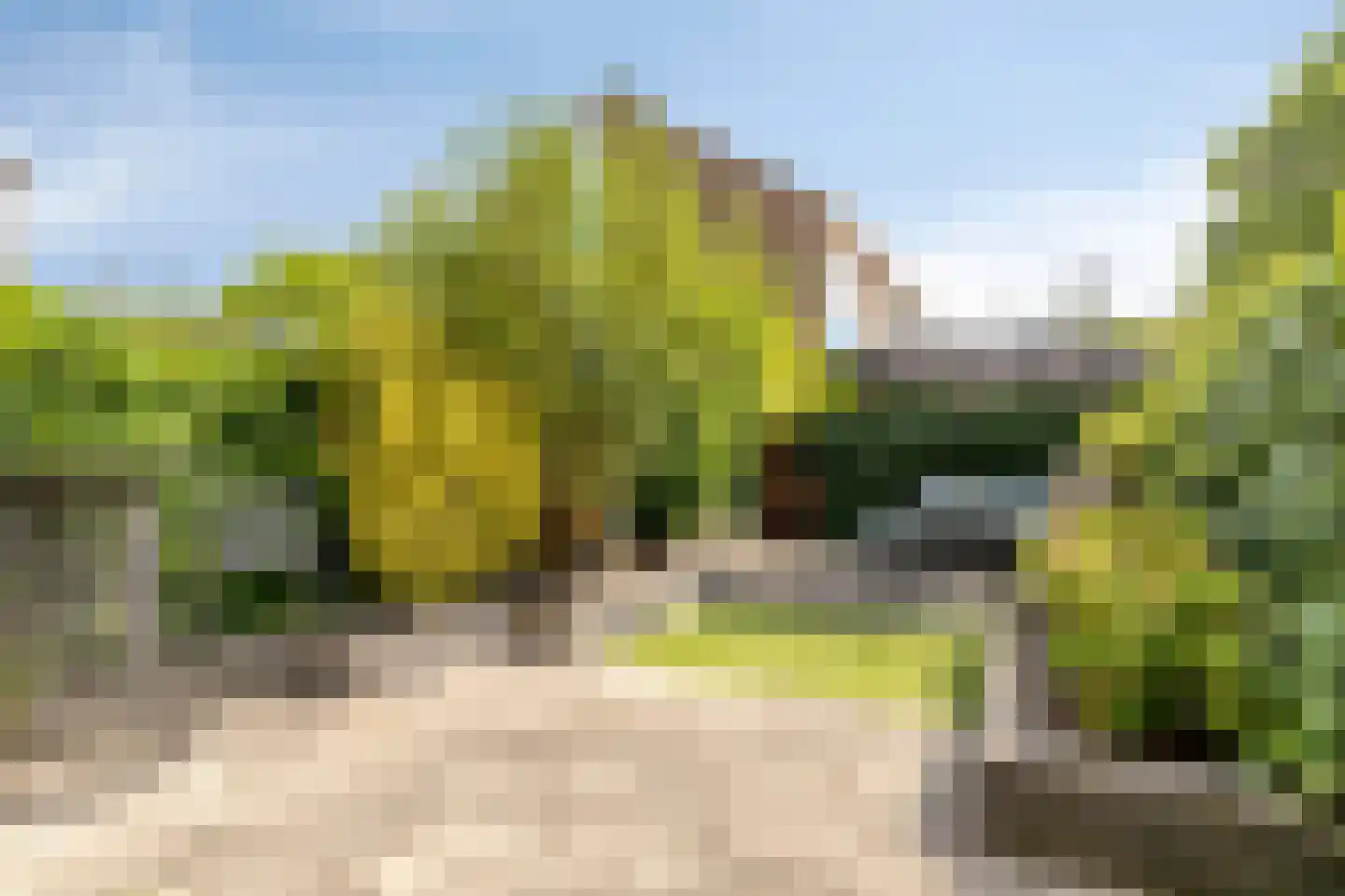Eemmeer 19 Zaandam thumbnail 14