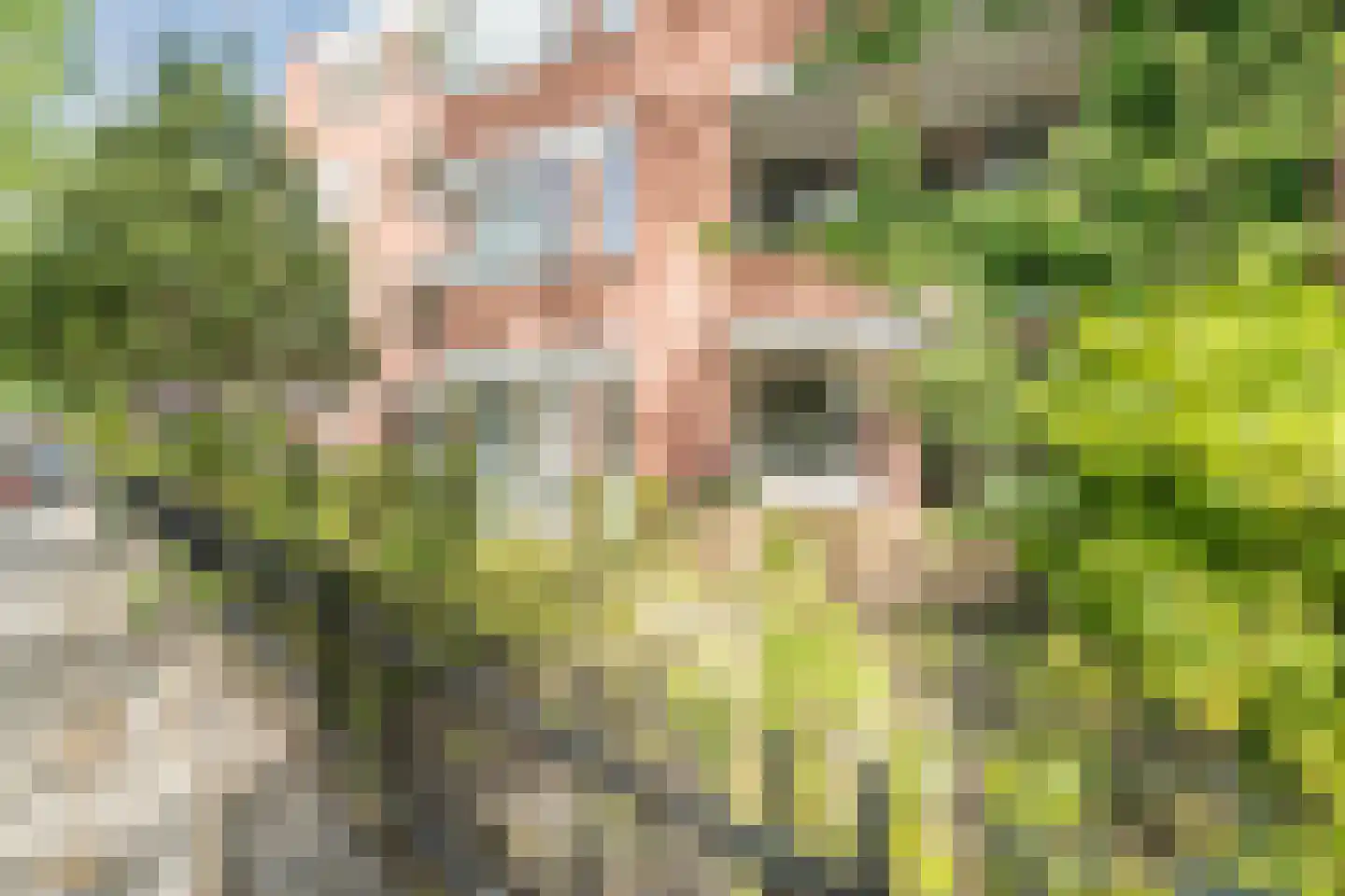 Eemnesserweg 1 3 Hilversum thumbnail 41