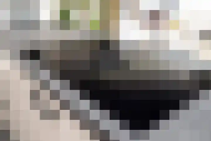 Eemnesserweg 1 7 Hilversum thumbnail 14