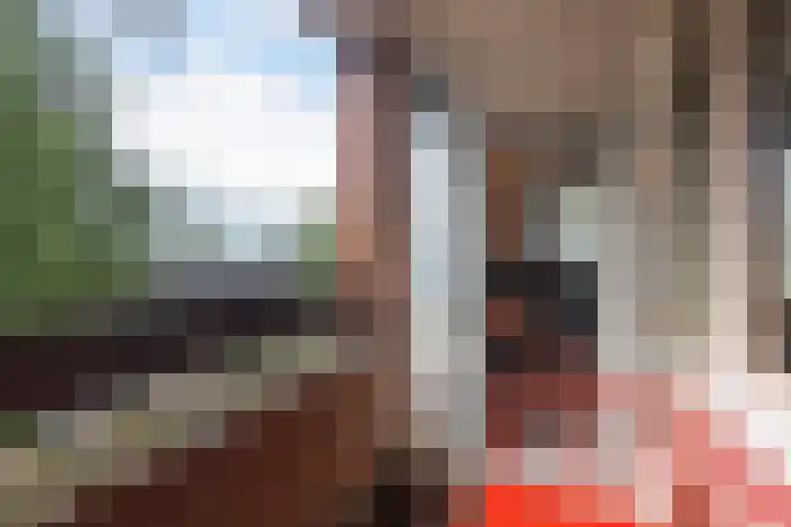 Eemnesserweg 1 7 Hilversum thumbnail 18