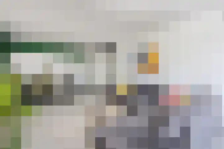 Eemnesserweg 1 7 Hilversum thumbnail 8
