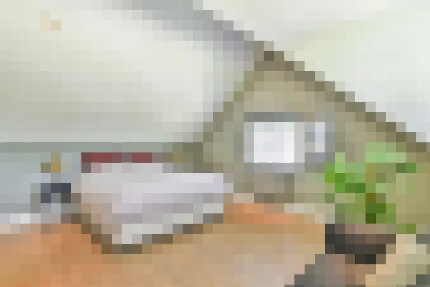Eemnesserweg 102 Laren thumbnail 25