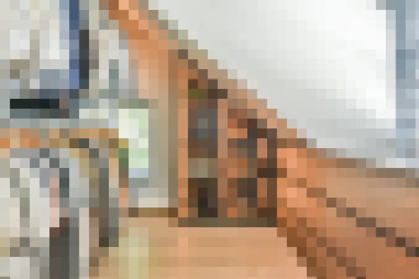 Eemnesserweg 102 Laren thumbnail 32