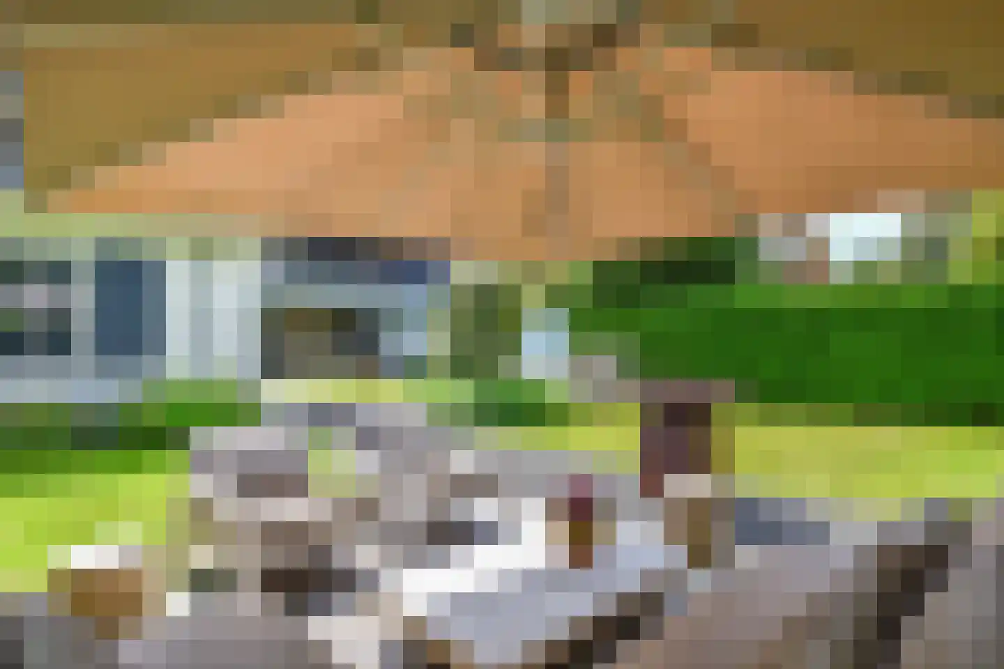 Eemnesserweg 102 Laren thumbnail 4