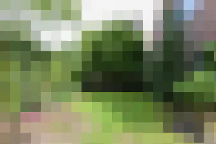Eemnesserweg 105 Hilversum thumbnail 29