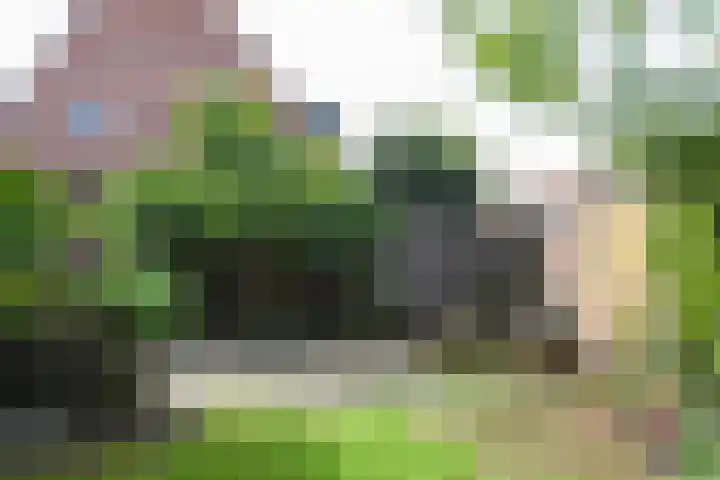 Eemnesserweg 105 Hilversum thumbnail 30