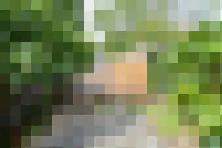 Eemnesserweg 105 Hilversum thumbnail 31