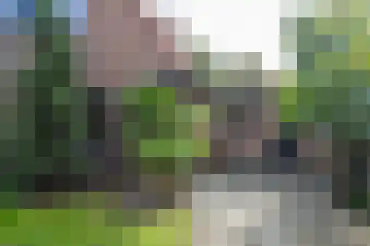 Eemnesserweg 105 Hilversum thumbnail 32
