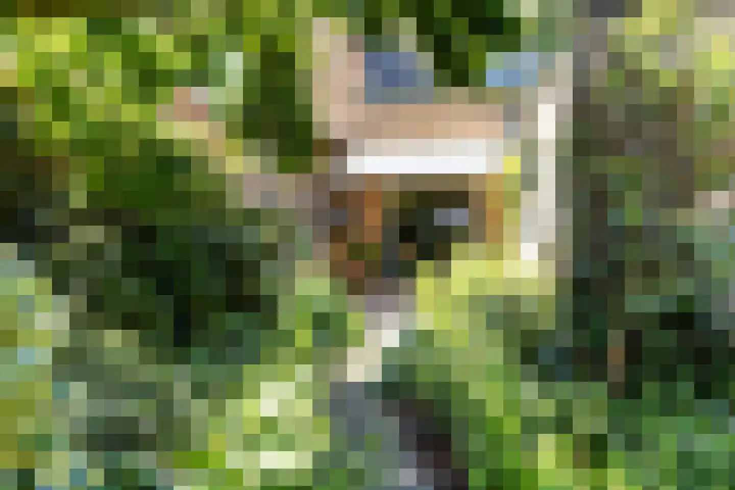 Eemnesserweg 18 Hilversum thumbnail 12