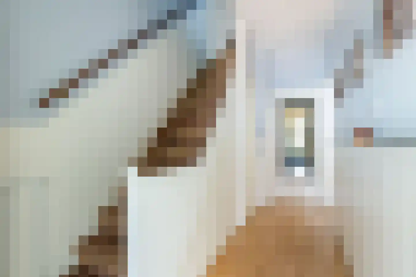 Eemnesserweg 18 Hilversum thumbnail 16