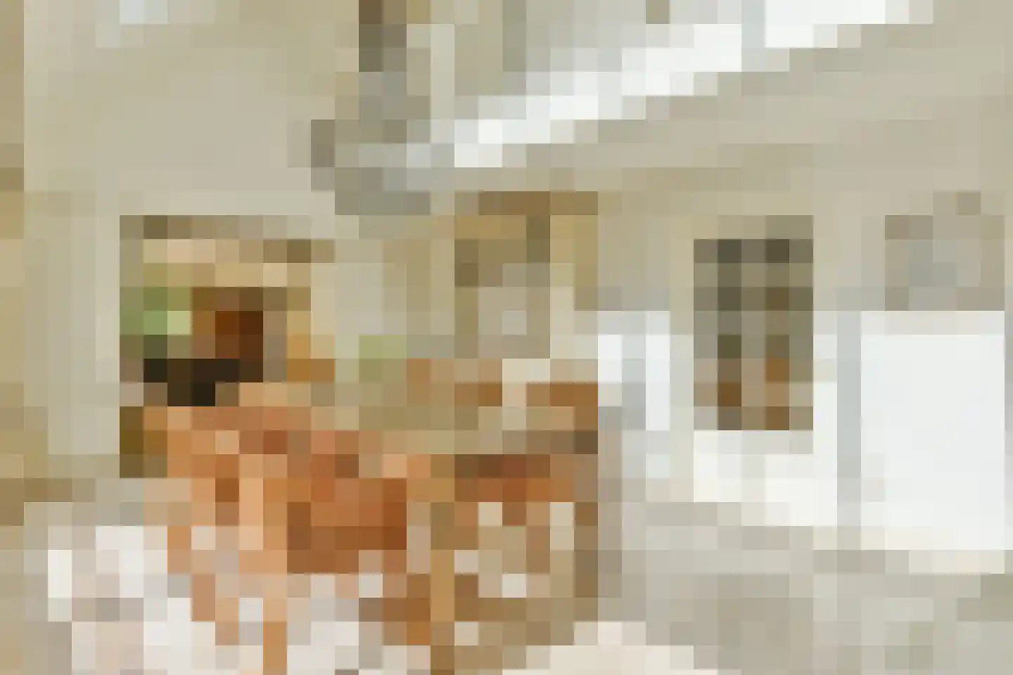 Eemnesserweg 19 c Blaricum thumbnail 14