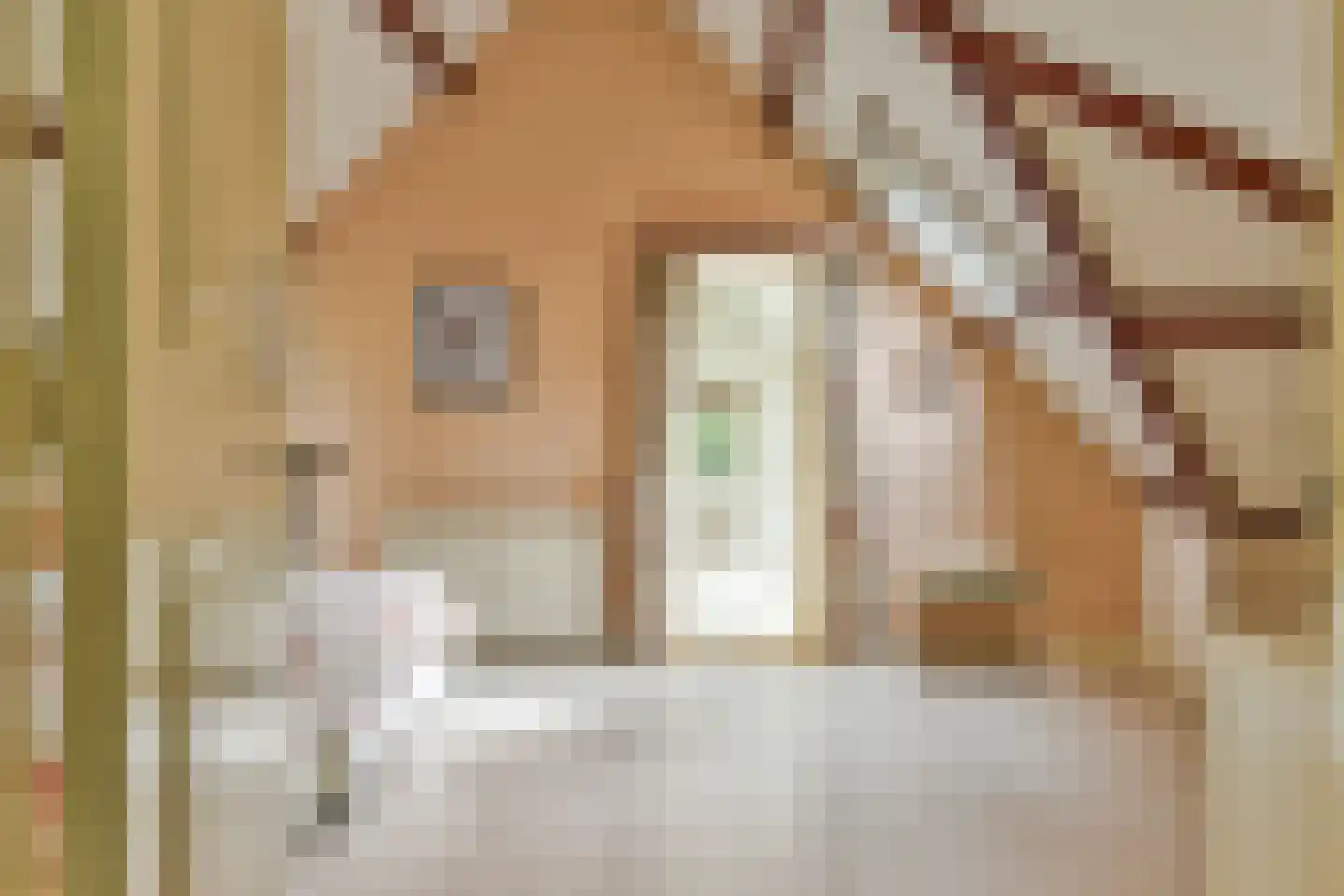 Eemnesserweg 19 c Blaricum thumbnail 23
