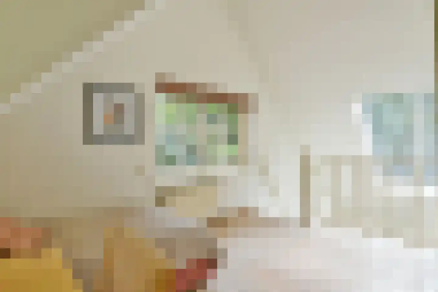 Eemnesserweg 19 c Blaricum thumbnail 30