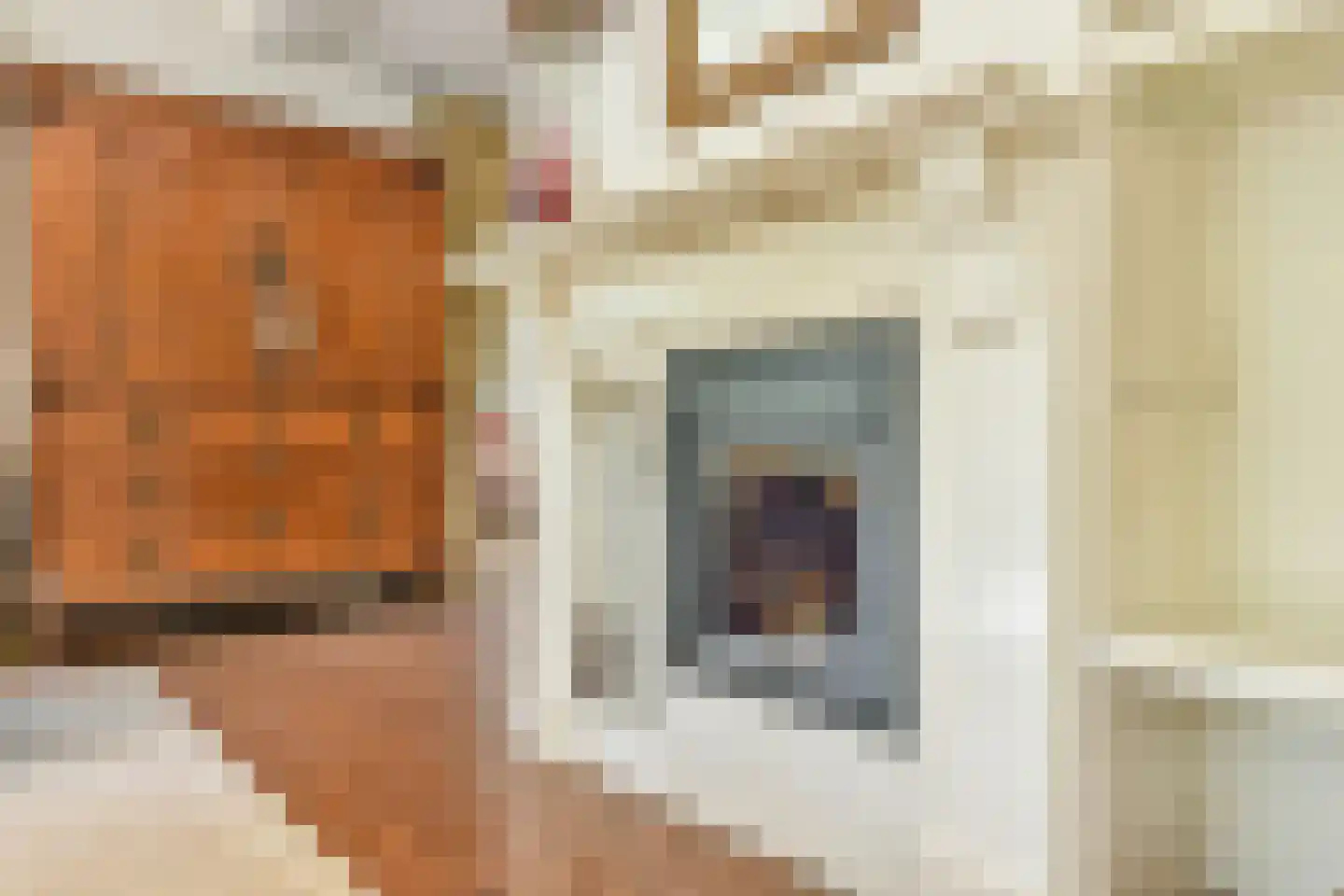 Eemnesserweg 19 c Blaricum thumbnail 6