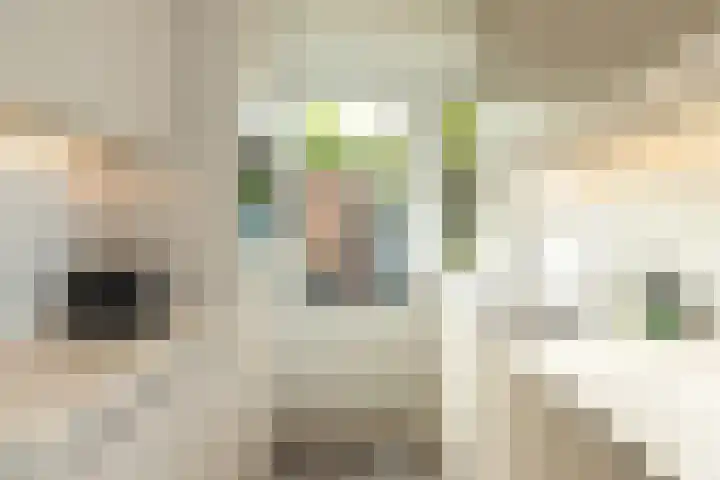 Eemnesserweg 202 Hilversum thumbnail 10