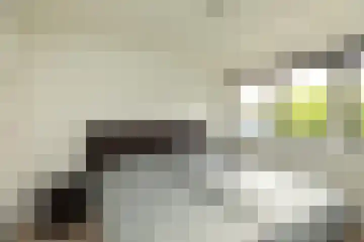 Eemnesserweg 202 Hilversum thumbnail 16