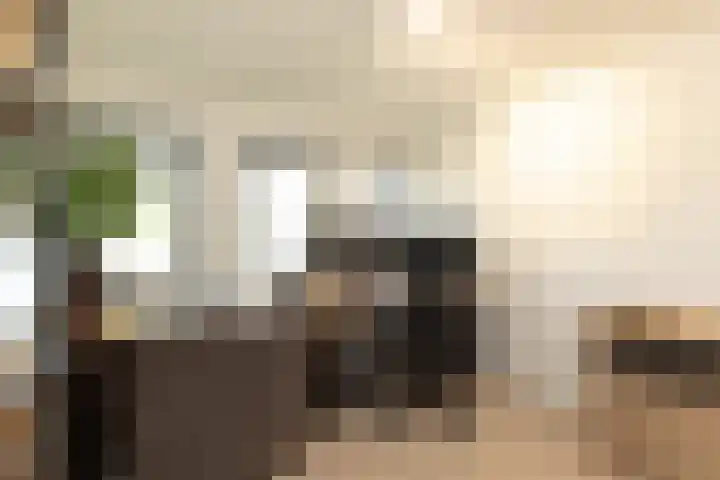 Eemnesserweg 202 Hilversum thumbnail 17