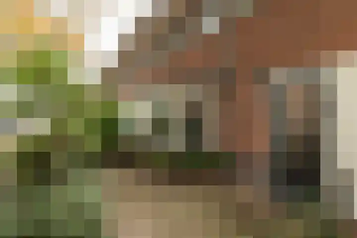 Eemnesserweg 202 Hilversum thumbnail 30