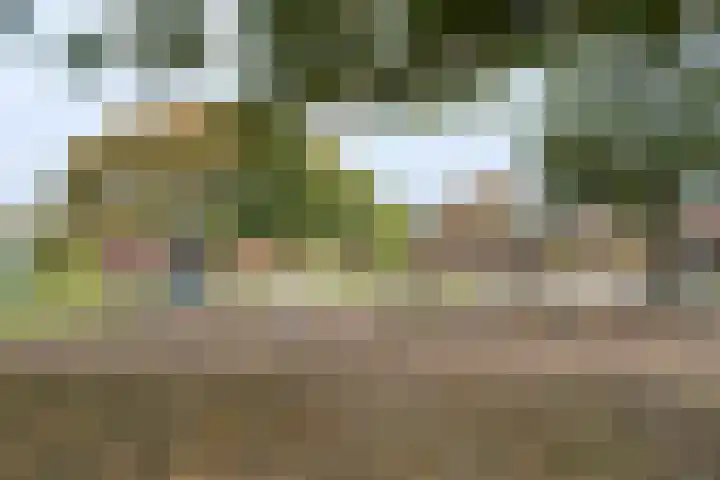 Eemnesserweg 202 Hilversum thumbnail 32
