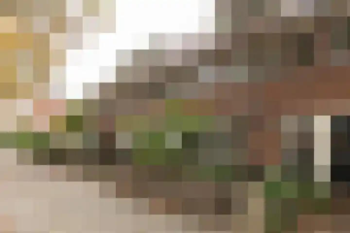 Eemnesserweg 202 Hilversum thumbnail 33
