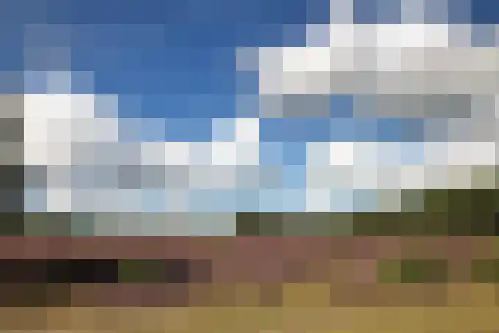 Eemnesserweg 202 Hilversum thumbnail 35