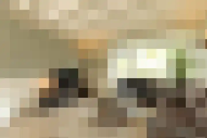 Eemnesserweg 202 Hilversum thumbnail 4