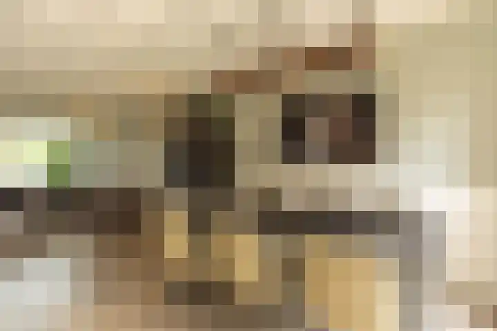 Eemnesserweg 202 Hilversum thumbnail 6