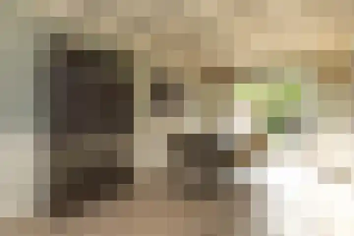 Eemnesserweg 202 Hilversum thumbnail 7