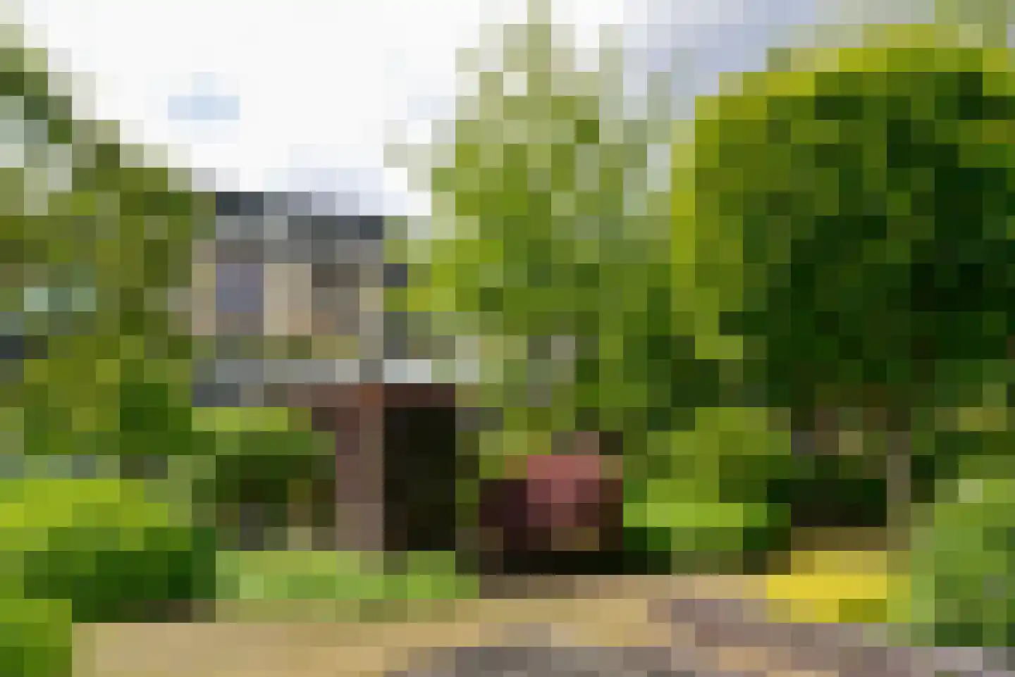 Eemnesserweg 22 0003 Baarn thumbnail 28