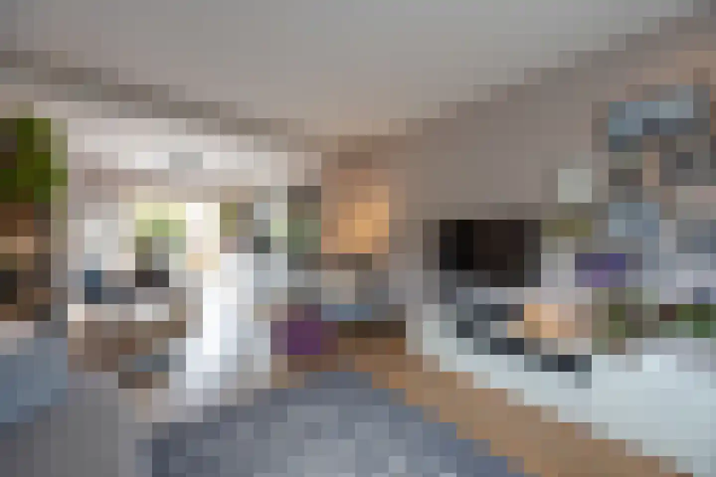Eemnesserweg 226 Hilversum thumbnail 10