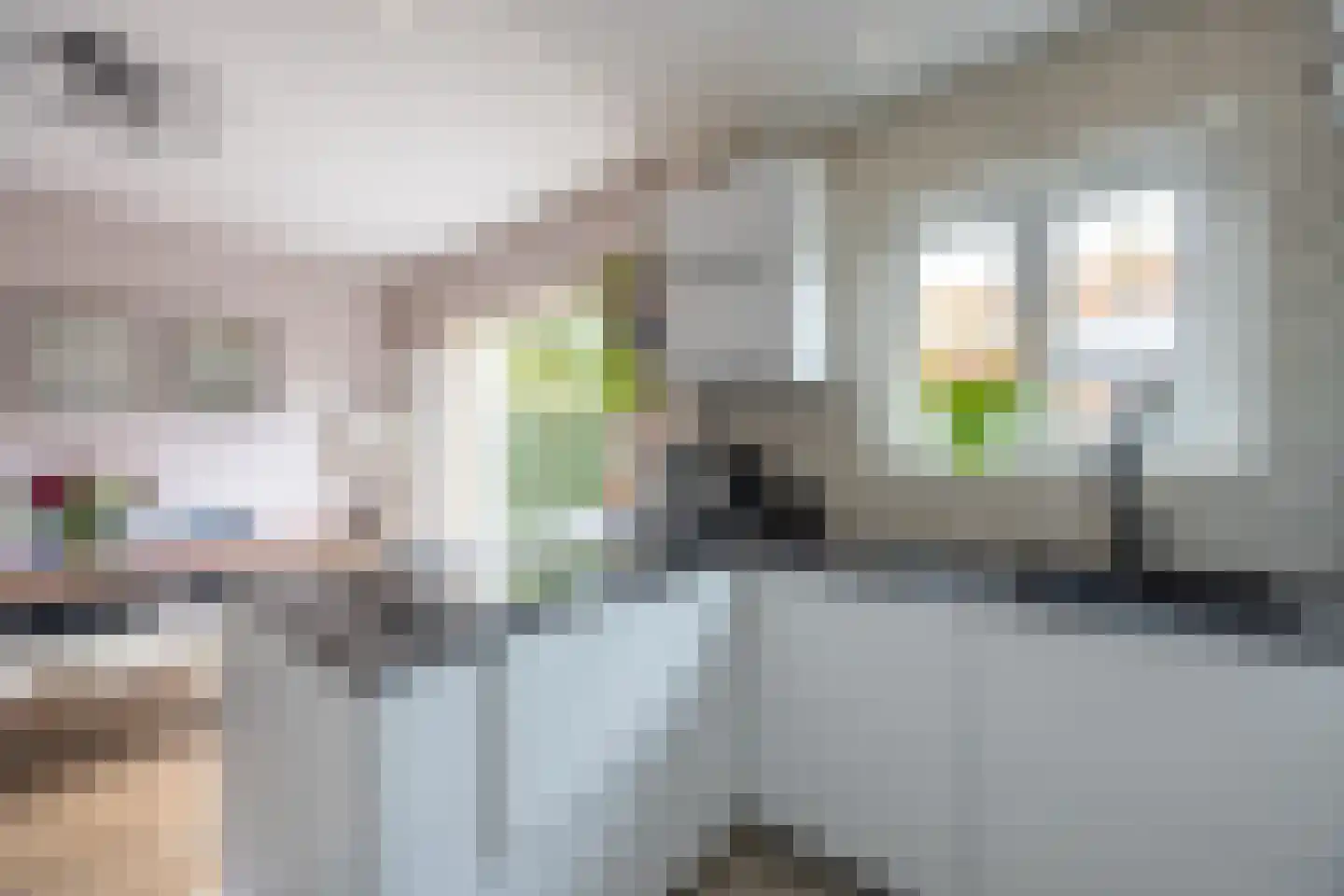 Eemnesserweg 226 Hilversum thumbnail 14