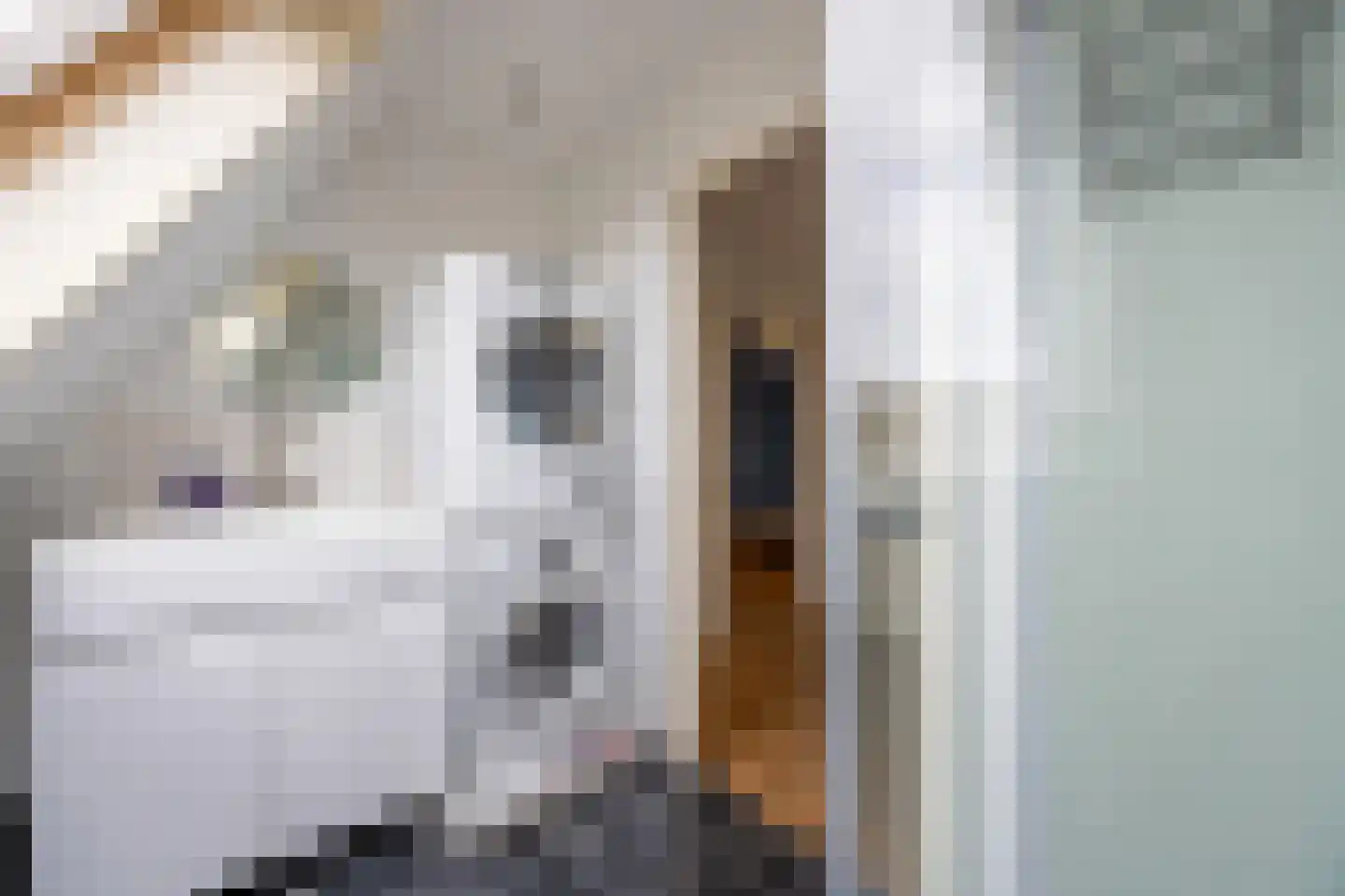 Eemnesserweg 226 Hilversum thumbnail 39