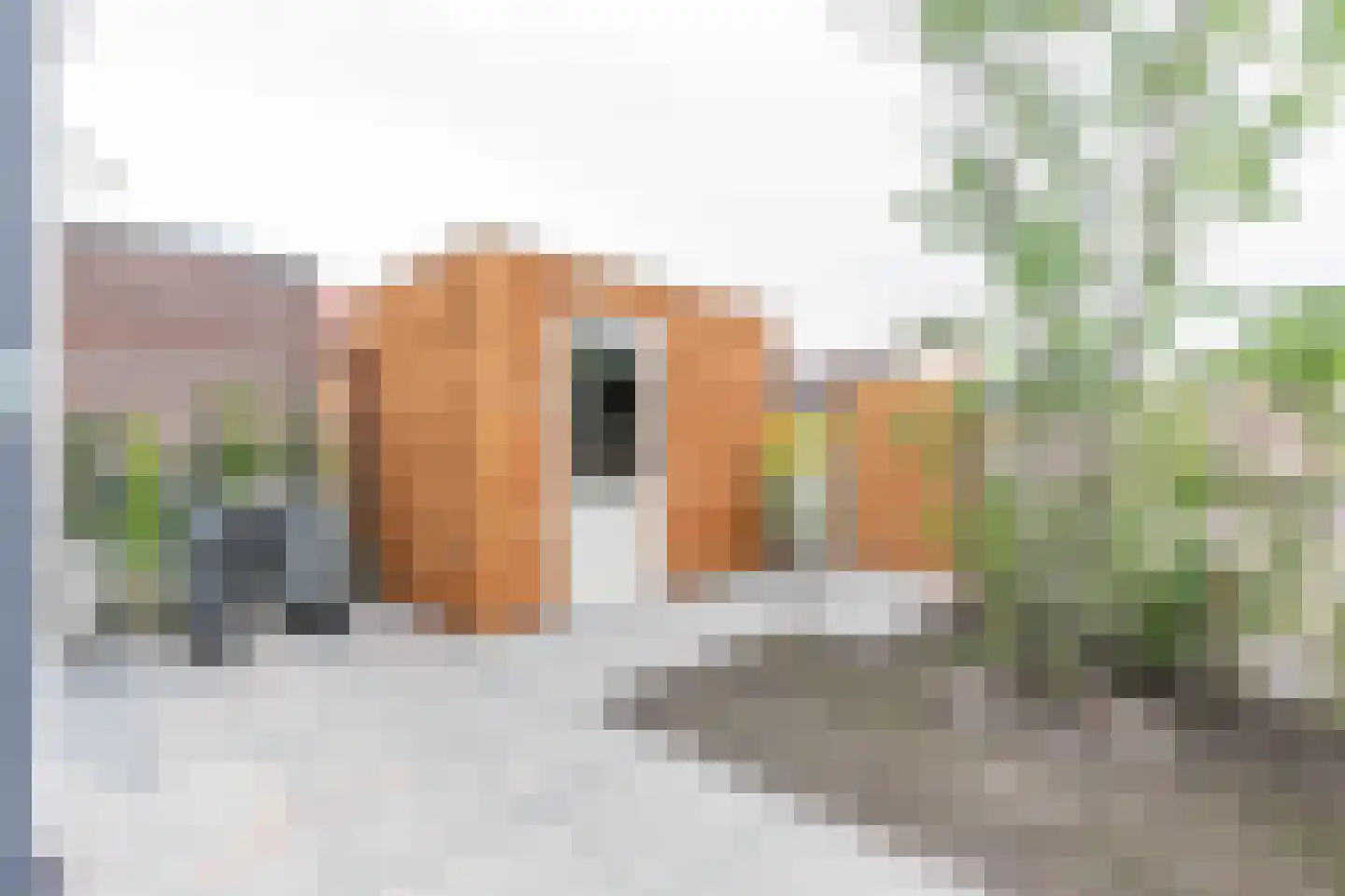Eemnesserweg 23 A Baarn thumbnail 21