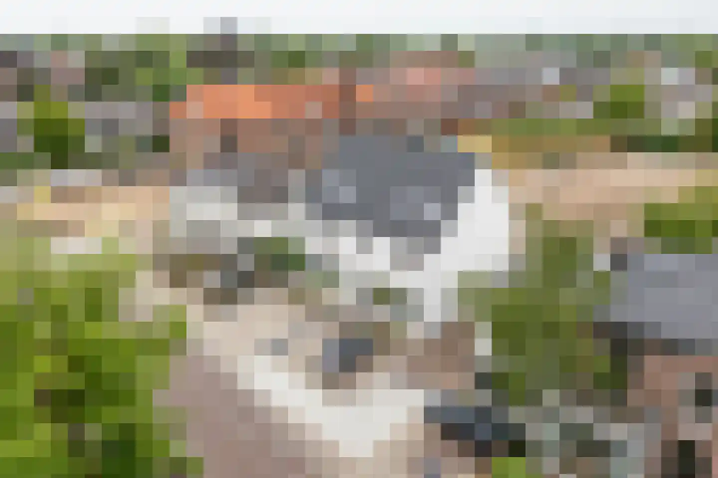 Eemnesserweg 23 Baarn thumbnail 23