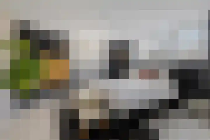 Eemnesserweg 23 Huizen thumbnail 13