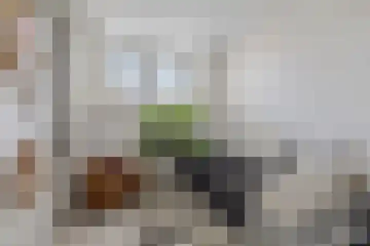 Eemnesserweg 23 Huizen thumbnail 15