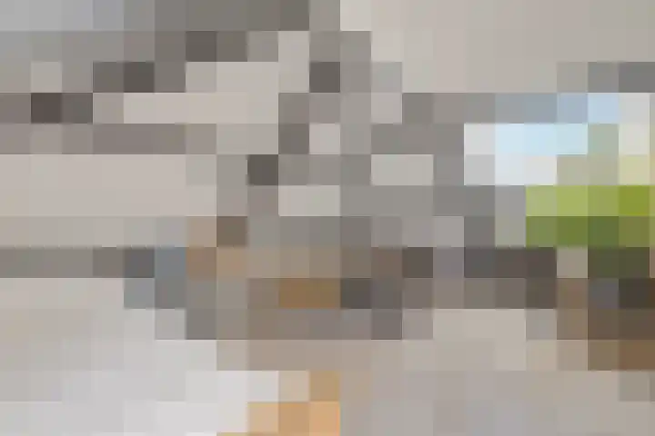 Eemnesserweg 23 Huizen thumbnail 20