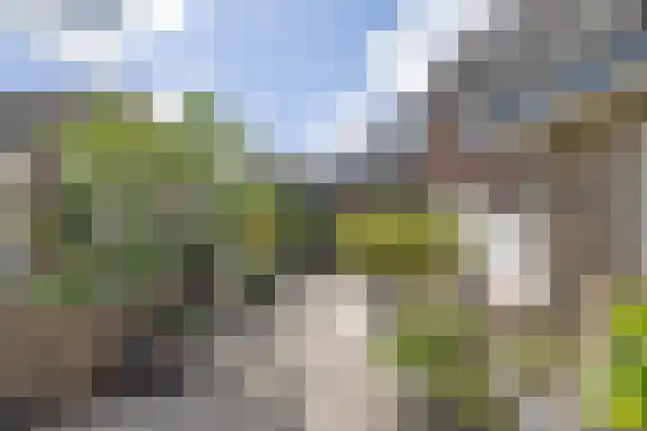 Eemnesserweg 23 Huizen thumbnail 22