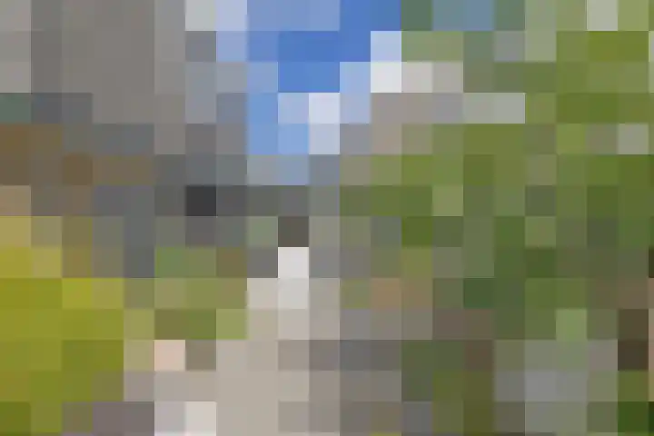 Eemnesserweg 23 Huizen thumbnail 23