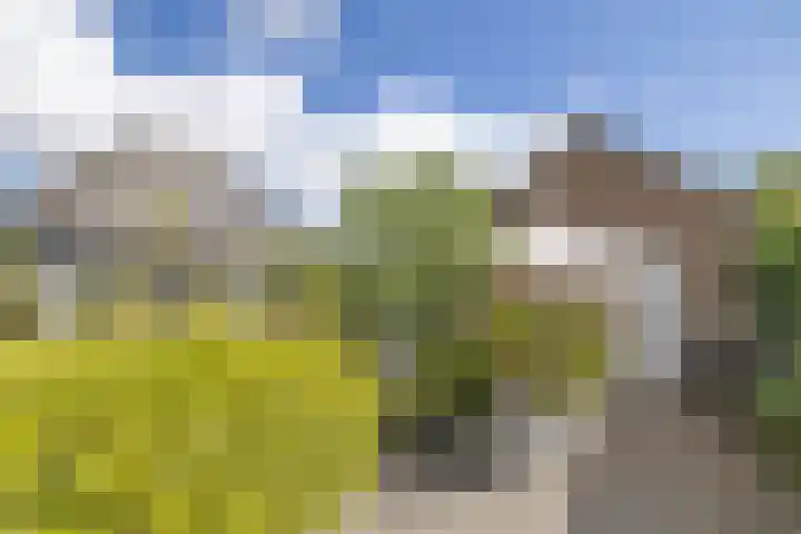 Eemnesserweg 23 Huizen thumbnail 25